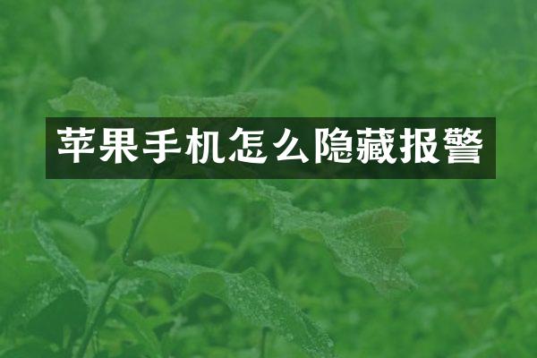 苹果手机怎么隐藏报警
