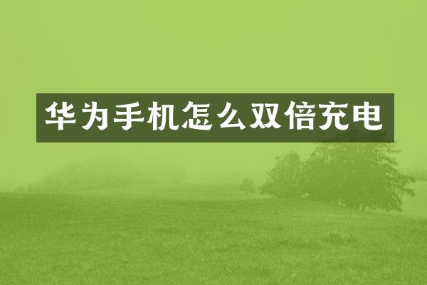 华为手机怎么双倍充电
