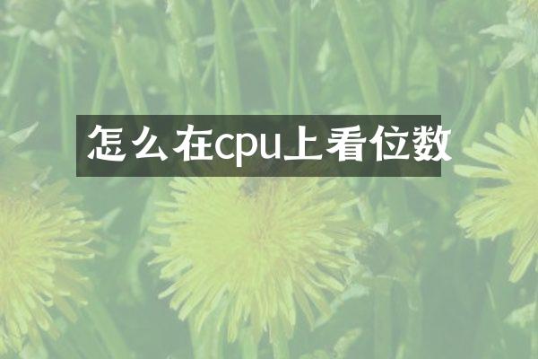 怎么在cpu上看位数