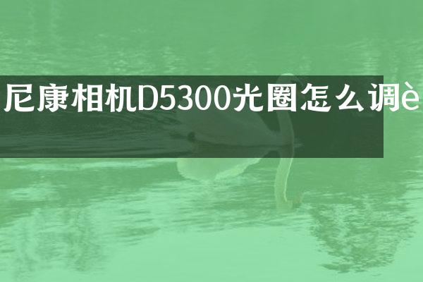 尼康相机D5300光圈怎么调节