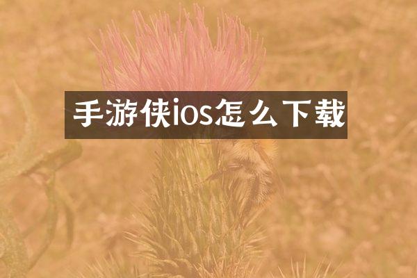 手游侠ios怎么下载
