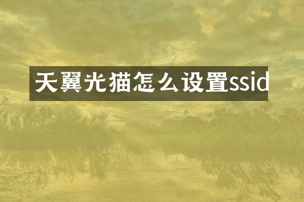 天翼光猫怎么设置ssid