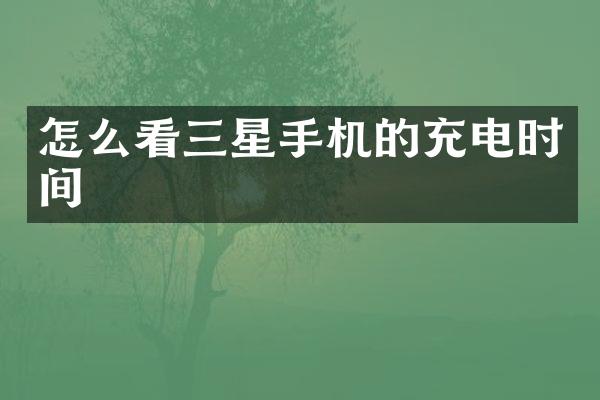 怎么看三星手机的充电时间