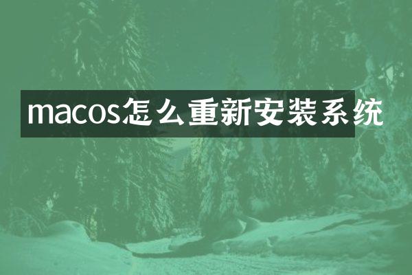 macos怎么重新安装系统