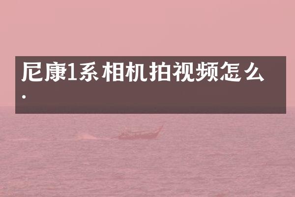尼康1系相机拍视频怎么样