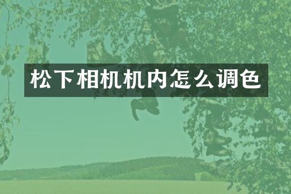 相机机内怎么调色