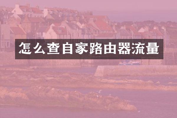 怎么查自家路由器流量