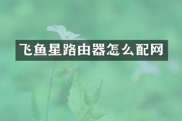 飞鱼星路由器怎么配网
