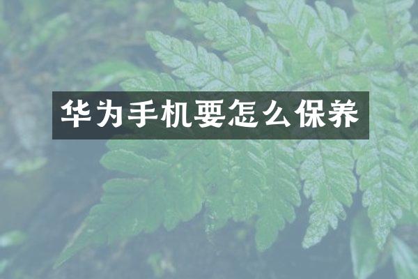 华为手机要怎么保养