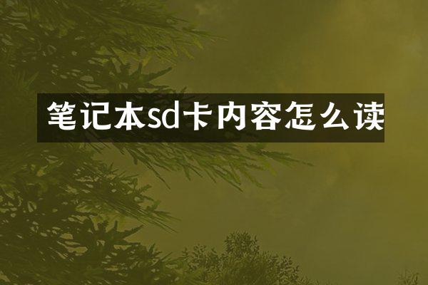 笔记本sd卡内容怎么读