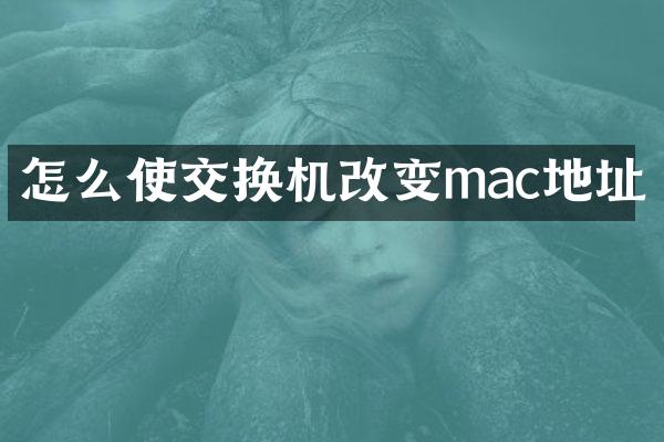 怎么使交换机改变mac地址