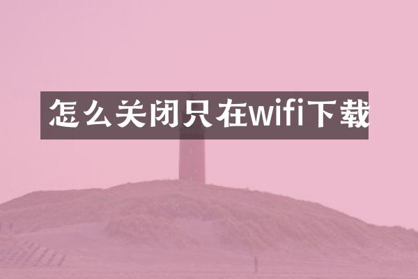 怎么关闭只在wifi下载