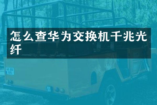 怎么查华为交换机千兆光纤