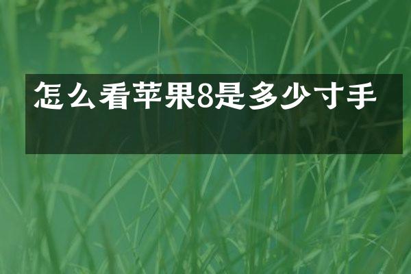 怎么看苹果8是多少寸手机