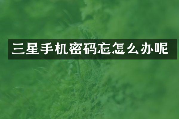 三星手机密码忘怎么办呢