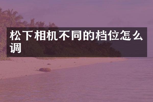 相机不同的档位怎么调