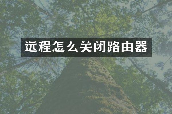 远程怎么关闭路由器