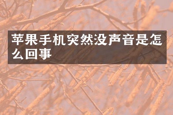 苹果手机突然没声音是怎么回事