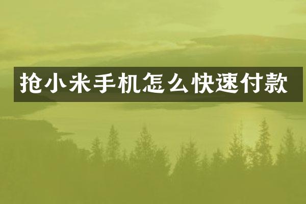 抢小米手机怎么快速付款