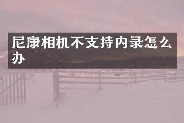 尼康相机不支持内录怎么办