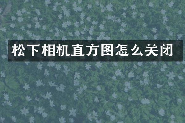 相机直方图怎么关闭