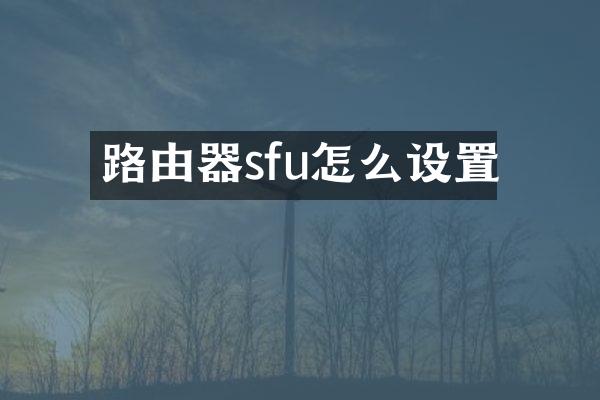 路由器sfu怎么设置