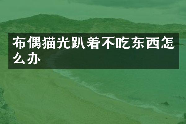 布偶猫光趴着不吃东西怎么办