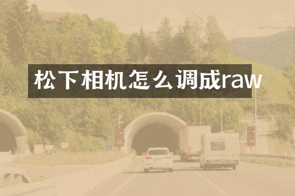 相机怎么调成raw