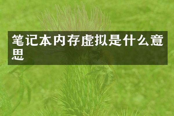 笔记本内存虚拟是什么意思
