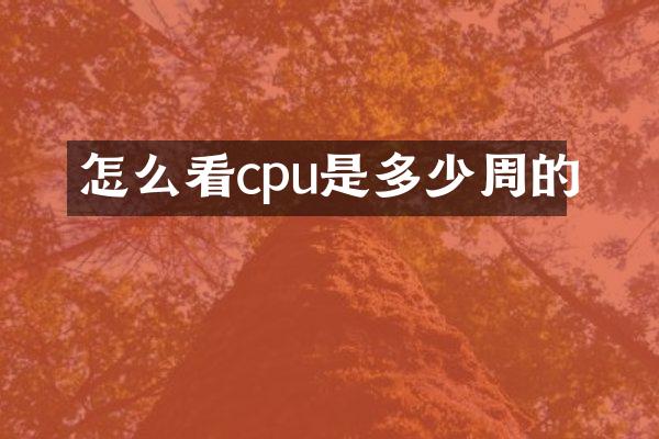 怎么看cpu是多少周的