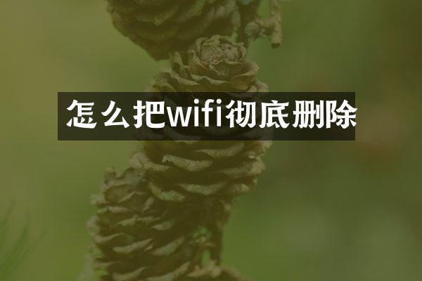 怎么把wifi彻底删除