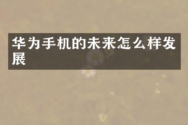 华为手机的未来怎么样发展
