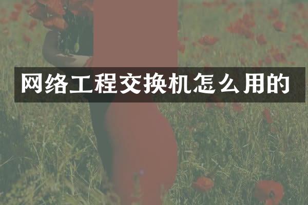 网络工程交换机怎么用的