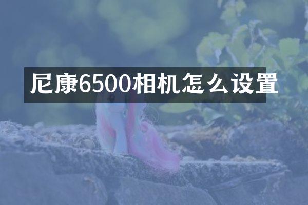 尼康6500相机怎么设置