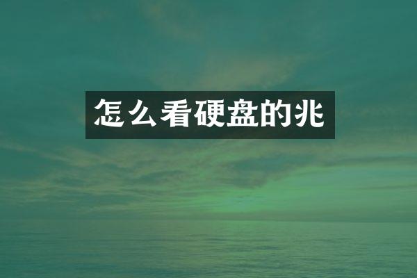 怎么看硬盘的兆