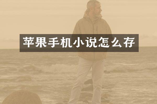 苹果手机小说怎么存