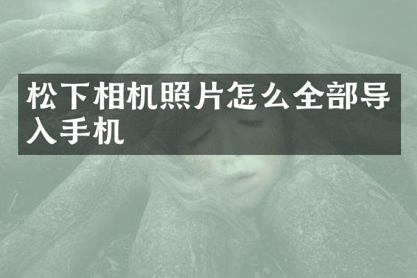 相机照片怎么全部导入手机