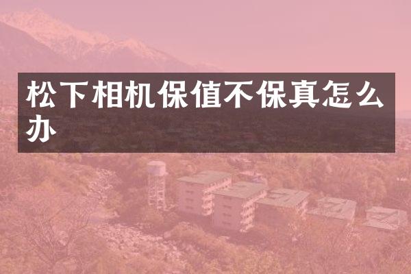 相机保值不保真怎么办