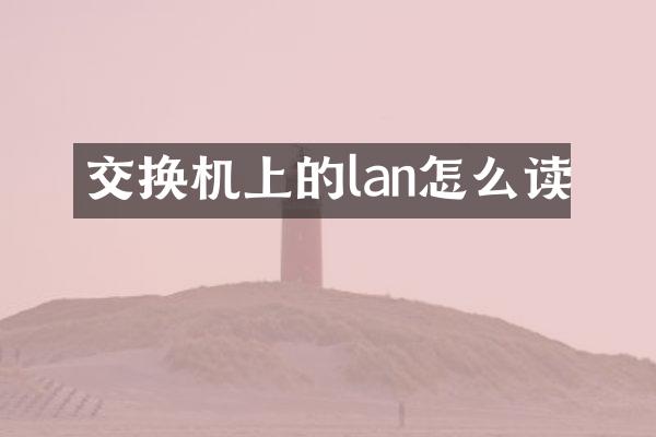 交换机上的lan怎么读