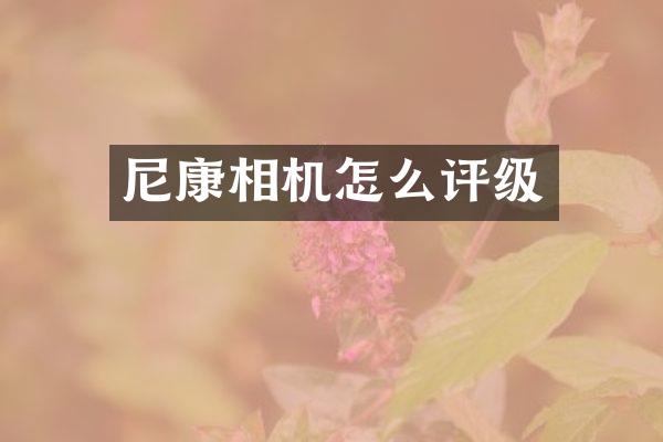 尼康相机怎么评级