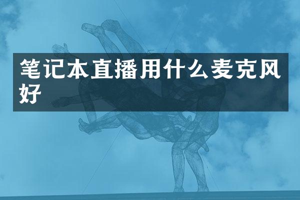 笔记本直播用什么麦克风好