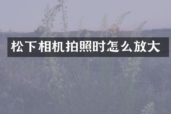 相机拍照时怎么放大