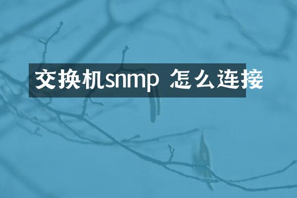 交换机snmp 怎么连接