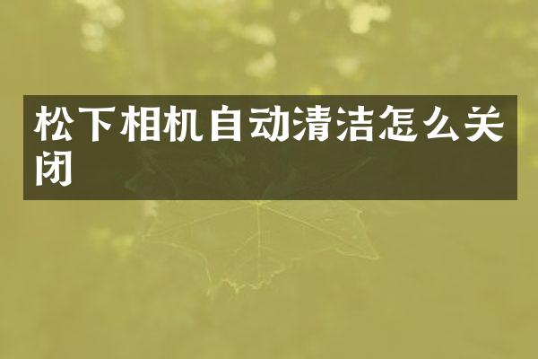 相机自动清洁怎么关闭