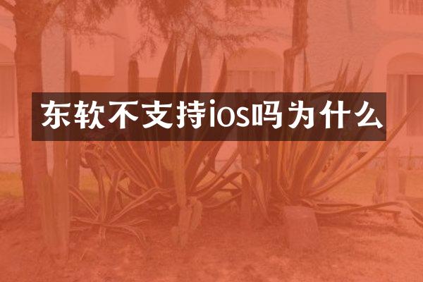 东软不支持ios吗为什么