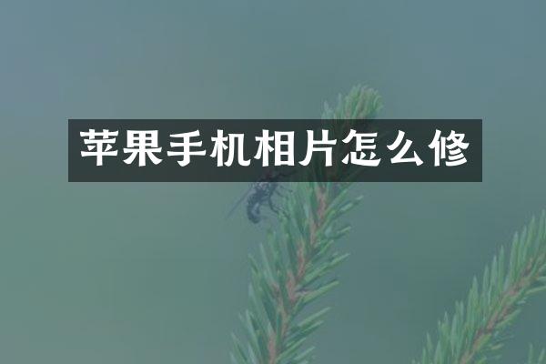 苹果手机相片怎么修