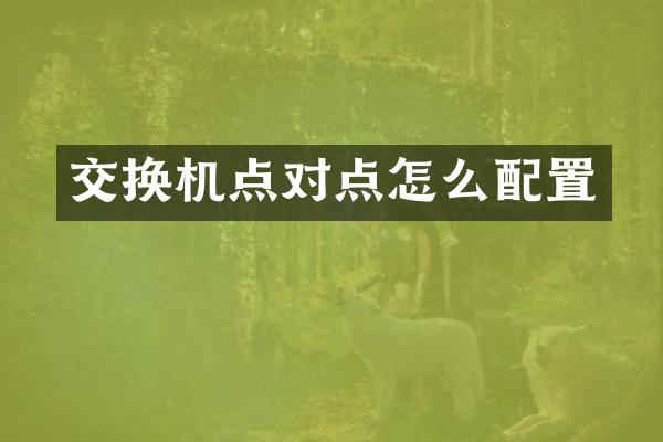 交换机点对点怎么配置