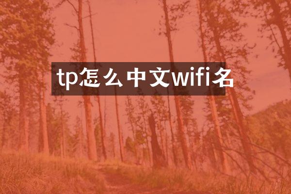tp怎么中文wifi名