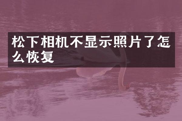 相机不显示照片了怎么恢复