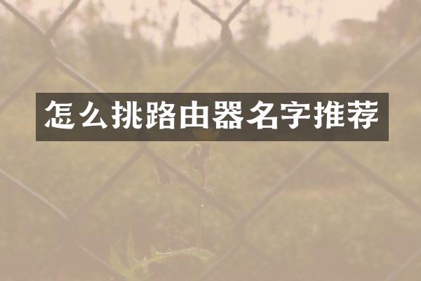 怎么挑路由器名字推荐